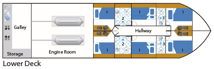 MV Jazz Lower Deck Layout